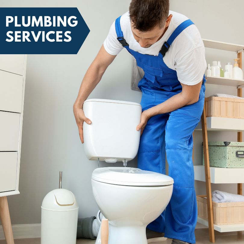 Plumbing Company in Blue, AZ